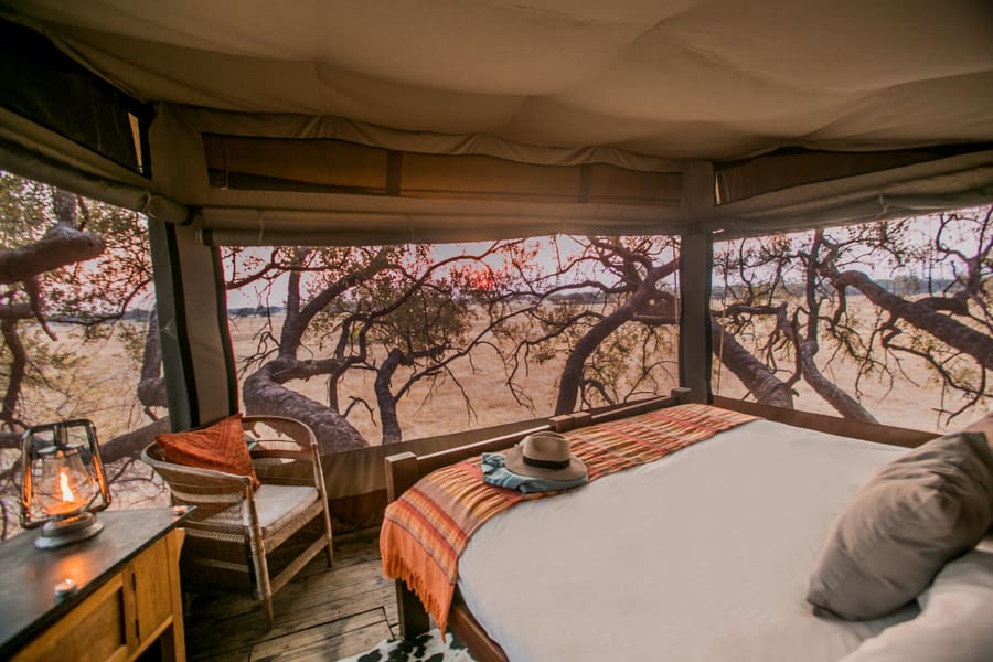 Casa escondida en un árbol en el Parque Nacional de Hwange, Zimbabue | Go2Africa 