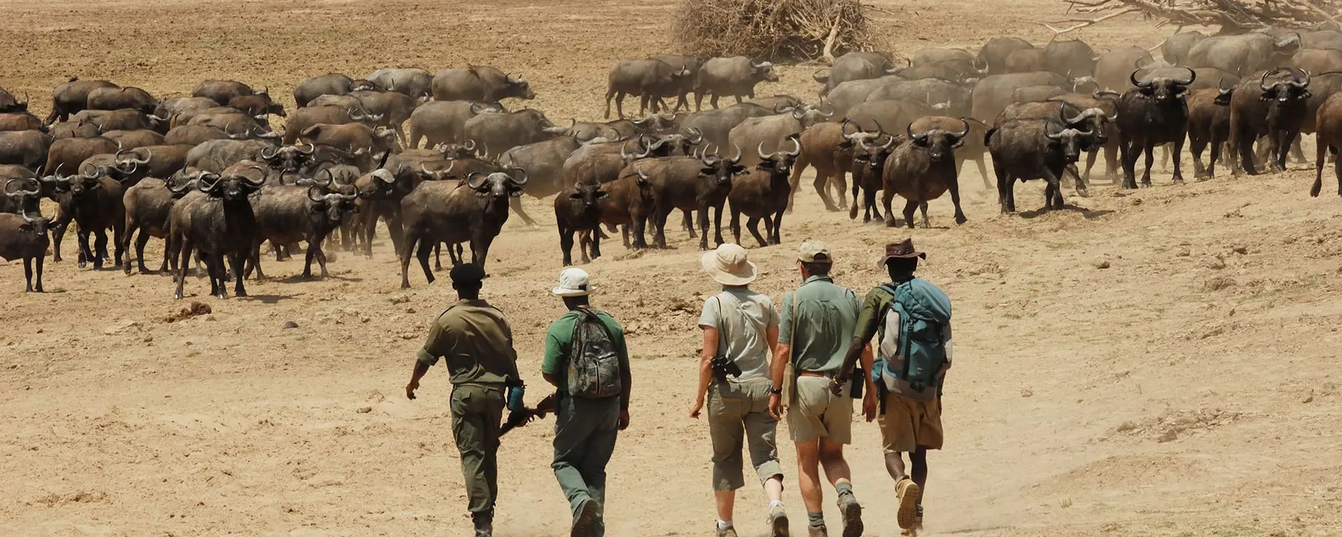 chikoko-trails-walkiing