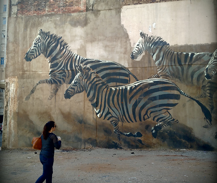 gandhi-square-zebra-street-art-donyale