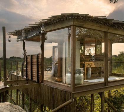 Africa’s Top 12 Romantic Treehouse & Forest Suites