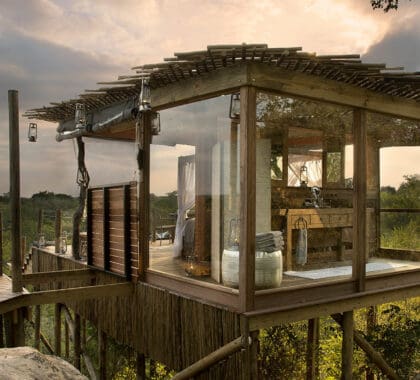 Las 12 mejores suites románticas en árboles y bosques de África