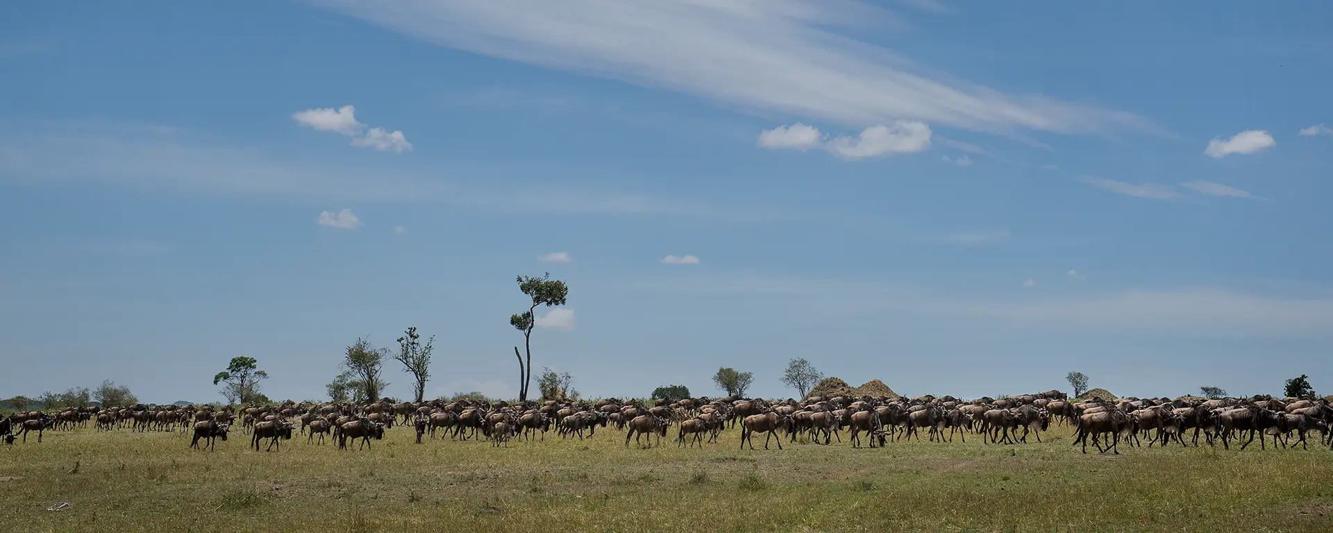 olakira-camp-landscape-eliza-deacon-1-hr
