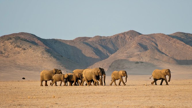 The top 4 natural wonders of secret Africa