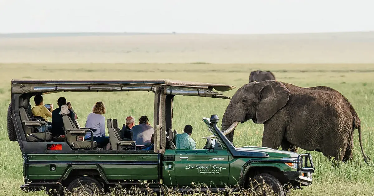 Elefante avistado cerca de un vehículo durante un safari en África | Go2Africa