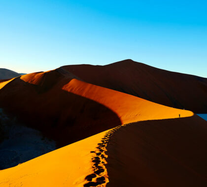 The great dunes of Sossusvlei – one of Africa’s most inspiring places. It is a travel tradition to climb Dune 45 (generally taken to be the highest in the area) at sunrise before savouring a well-deserved cup of coffee.