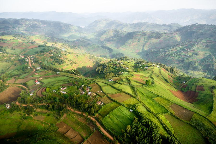 Aerial view on the green, rolling hills of Uganda