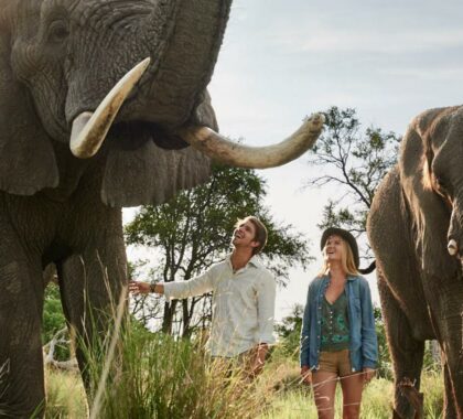 Complete Guide to Safaris for Teenagers