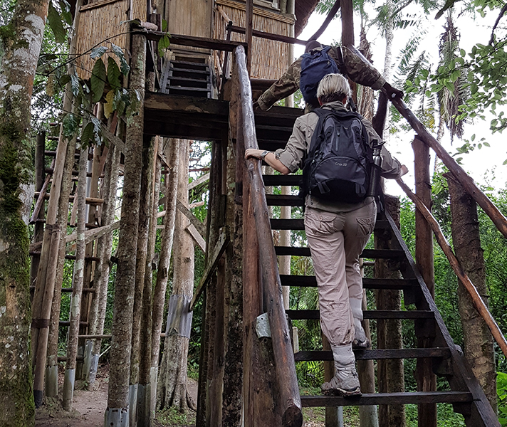 uganda-kibale-forest-chimp-trekking-19