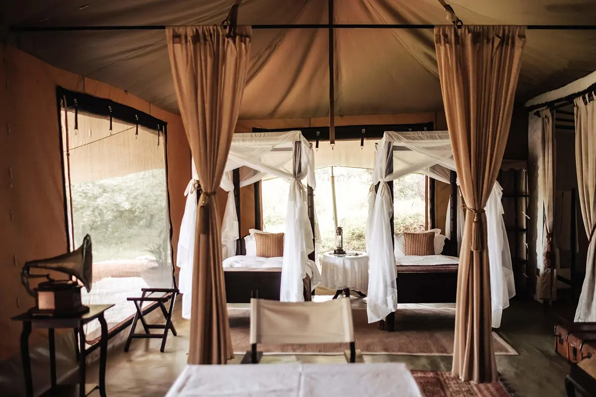 Exceptional bush luxury. 