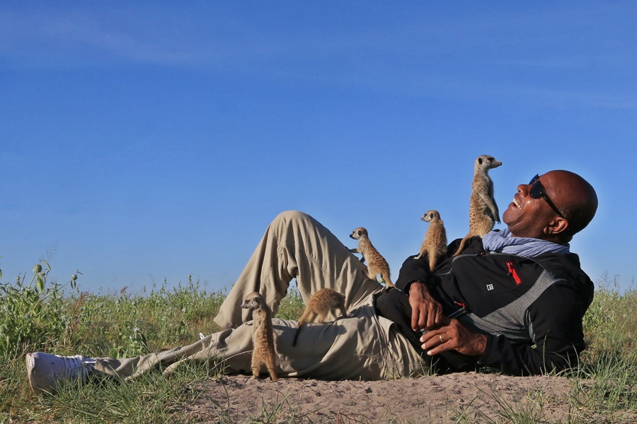 Meerkat encounter in the Kalahari, Botswana | Go2Africa