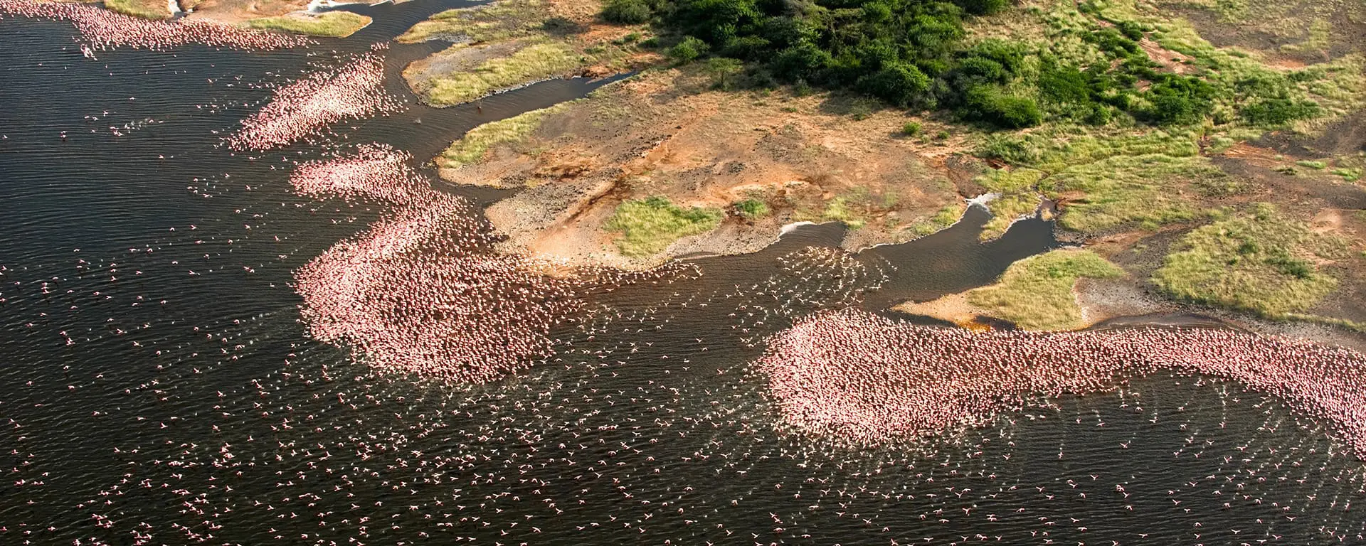 ol-jogi-bogoria-2