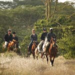 Se ofrece safari a caballo.