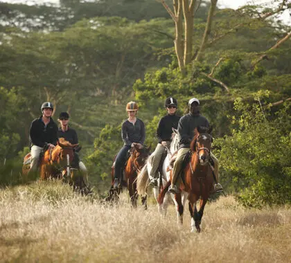 Se ofrece safari a caballo.