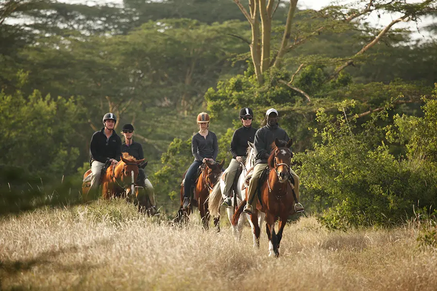 Se ofrece safari a caballo.