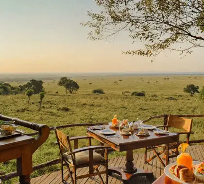 Los 24 mejores alojamientos de lujo para safaris en Kenia