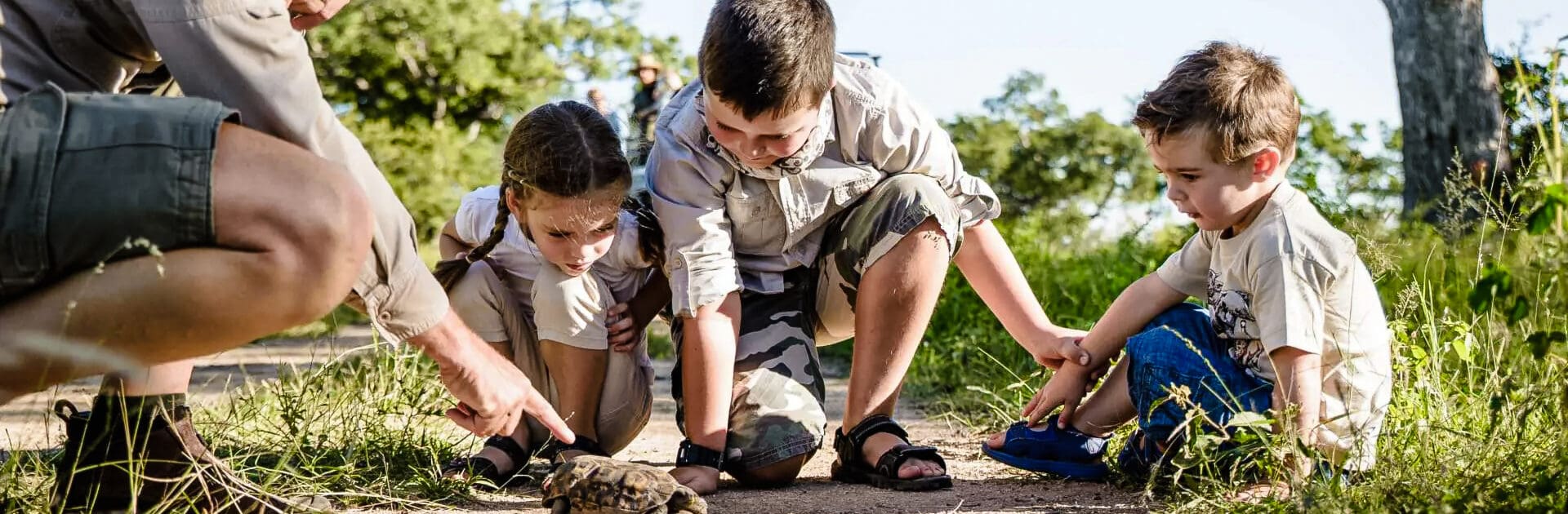 Guía para enseñar a los niños la vida salvaje en África | Go2Africa