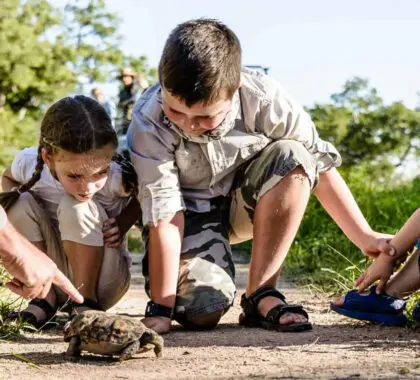 Guía para llevar a bebés y niños pequeños a un safari africano