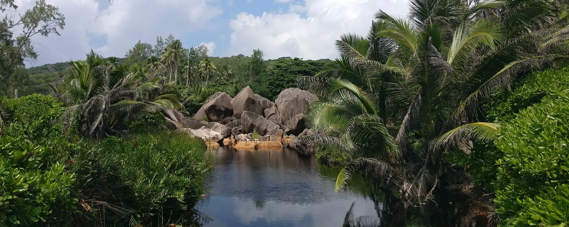 one-of-teh-beautiful-scenes-on-the-hike-of-death-to-find-anse-cocos
