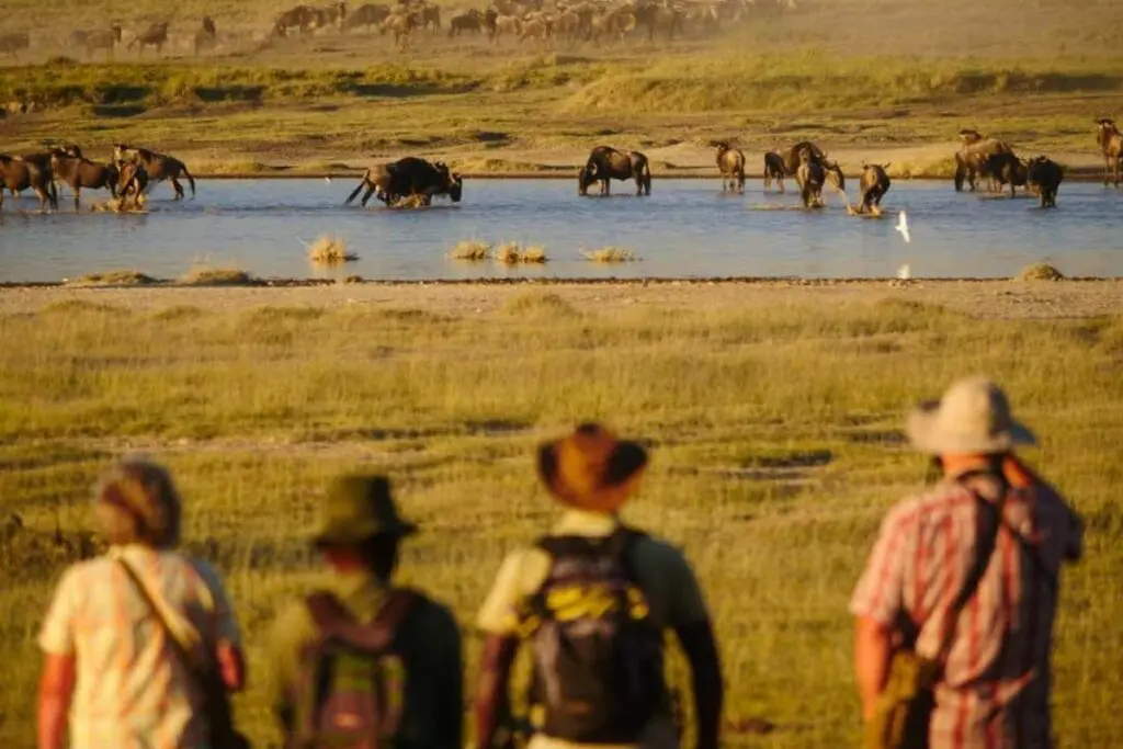 A small group face away from the camera observing wildlife in a river a short distance away | Go2Africa