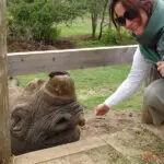 Activités axées sur la conservation au Kenya.