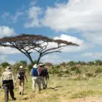Un guía armado lleva a un grupo de aficionados a los safaris en un paseo guiado por la reserva.