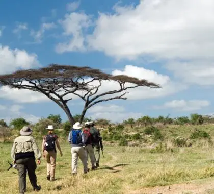 An armed guide takes a group of safari enthusiasts on a guided walk in the reserve.