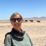 Vigilando a los caballos.