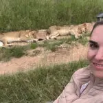 A different kind of traffic on the roads