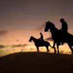 El Indigo Bay Resort de Bazaruto ofrece paseos a caballo frente a la playa, ¡incluso puedes llevarlo a nadar entre las olas!