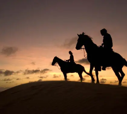 Bazaruto's Indigo Bay Resort offers beachfront horse rides - you can even take your horse into the waves for a swim!