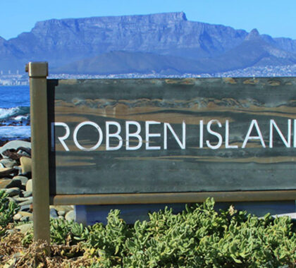 What to Expect on Robben Island