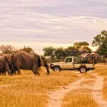 Los safaris diurnos y nocturnos revelan por qué Mana Pools es desde hace tiempo uno de los mejores destinos de safari.