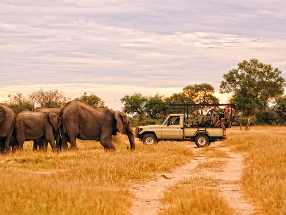 Day & night game drives reveal just why Mana Pools has long been a top safari destination.