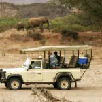 Una elefanta del desierto y su cría recorren una zona ribereña de la zona de conservación de Dora Nawas.