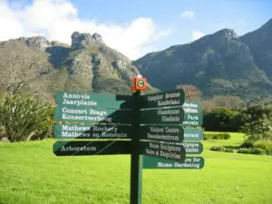 Descubra los numerosos jardines de Kirstenbosch: aquí hay mucho que hacer y ver.