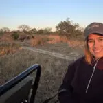 Sightings on a game drive from Thornybush.