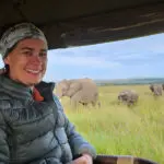 Elephants on safari.
