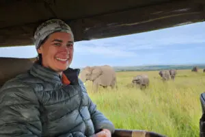 Elephants on safari.