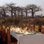 Enjoy a bush dinner among the ancient baobabs that dot the landscape, an iconic sight in the park.