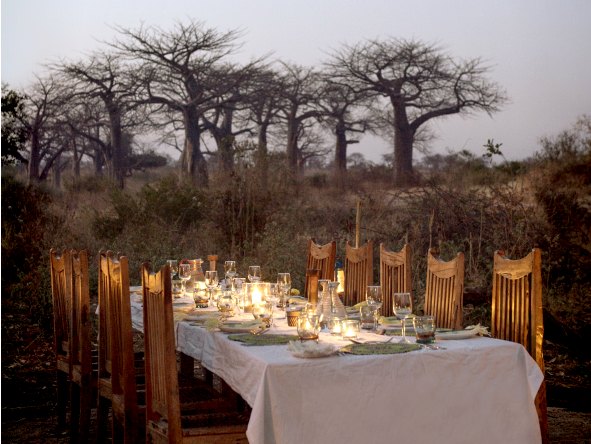Enjoy a bush dinner among the ancient baobabs that dot the landscape, an iconic sight in the park.