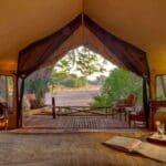 Enjoy staying in comfortably appointed rooms that offer a private haven in the wild at Jongomero.