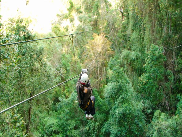Enjoy the unequaled beauty of the indigenous forest high up on ten treetop platforms during a treetop canopy tour in Tsitsikamma.