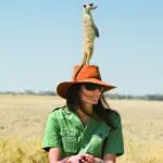 Siempre atento al peligro, el entrañable suricato es uno de los habitantes más famosos del Kalahari.