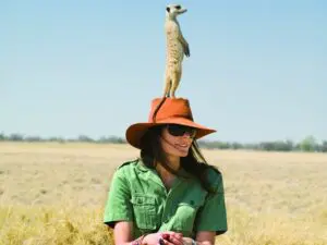 Toujours à l'affût du danger, l'attachant suricate est l'un des habitants les plus célèbres du Kalahari.