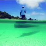 Explore el lago Malawi con un guía local y una canoa tradicional.