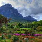 Enmarcados por la parte trasera de la Montaña de la Mesa, los Jardines ofrecen un paisaje espectacular y vistas de la bahía de False.