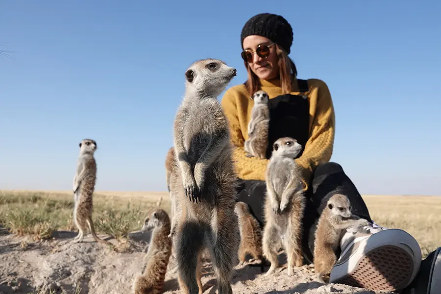 Africa Safari Expert Jessica befriends a mob of meerkats in the Kalahari