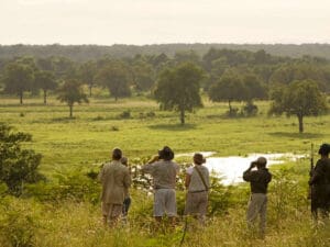 Se ofrecen safaris en coche y en barco, pero son los safaris a pie guiados por los que South Luangwa es más conocido.
