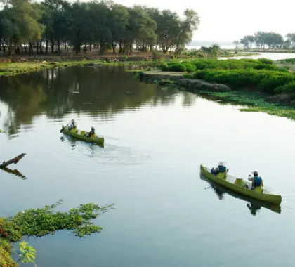 Los safaris y los paseos guiados se complementan con la experiencia definitiva en el Bajo Zambeze: un safari en canoa.