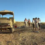Los safaris se realizan mejor a primera hora de la mañana y a última hora de la tarde, ya que durante el día hace demasiado calor.
